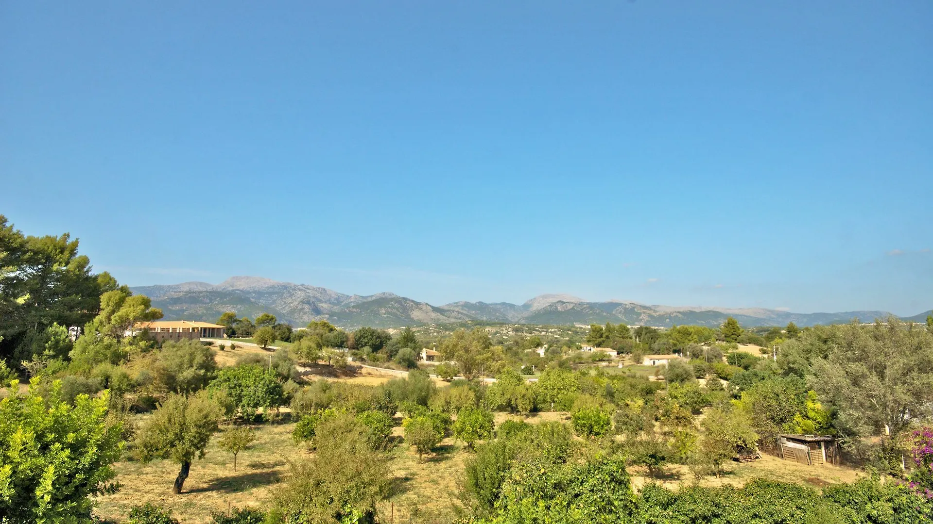 Finca Alzina Selva