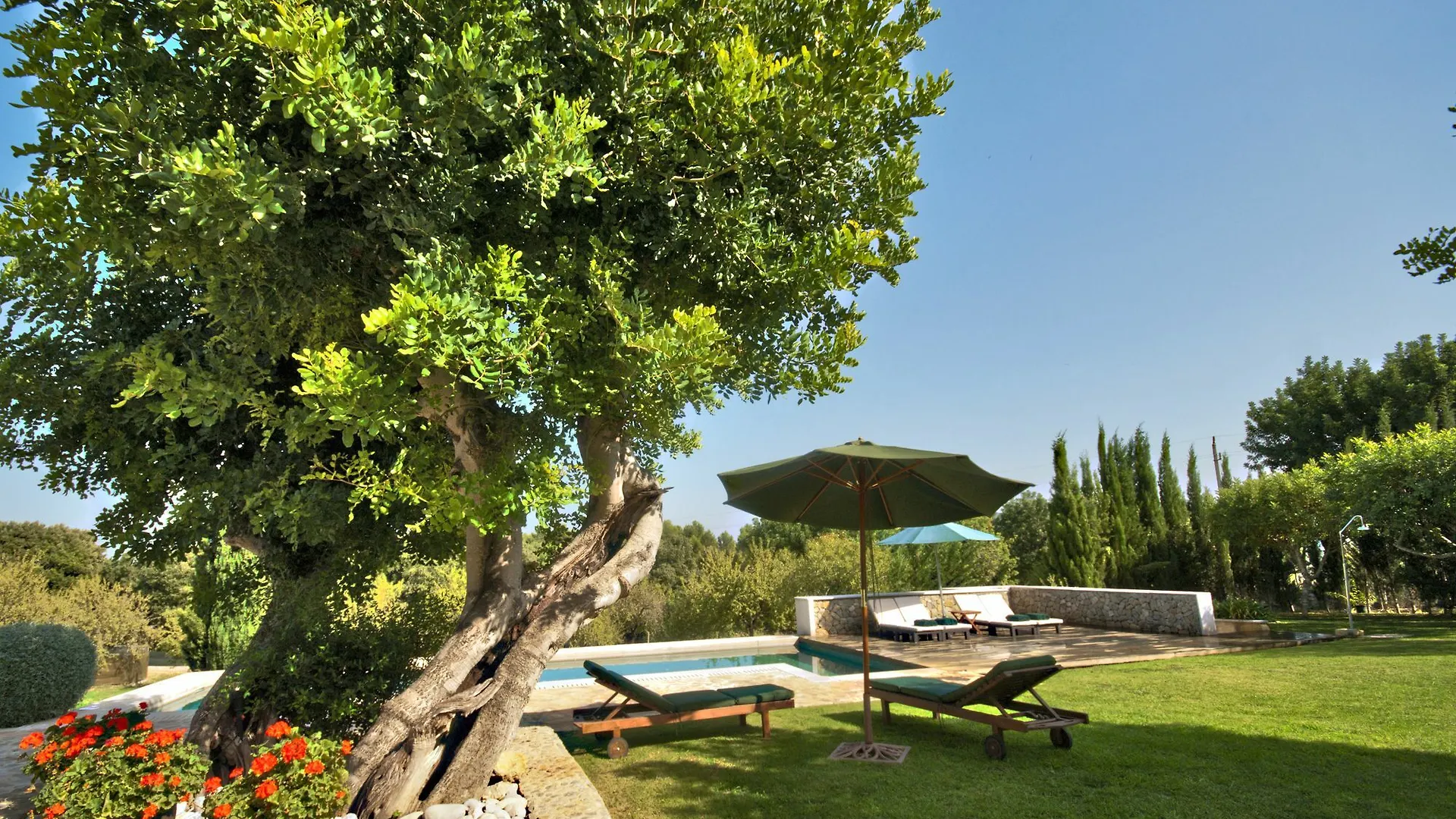 Finca Alzina Selva